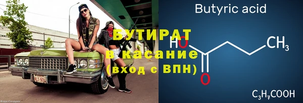 индика Алексин