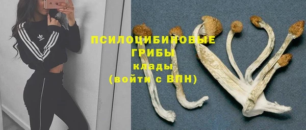 каннабис Алзамай
